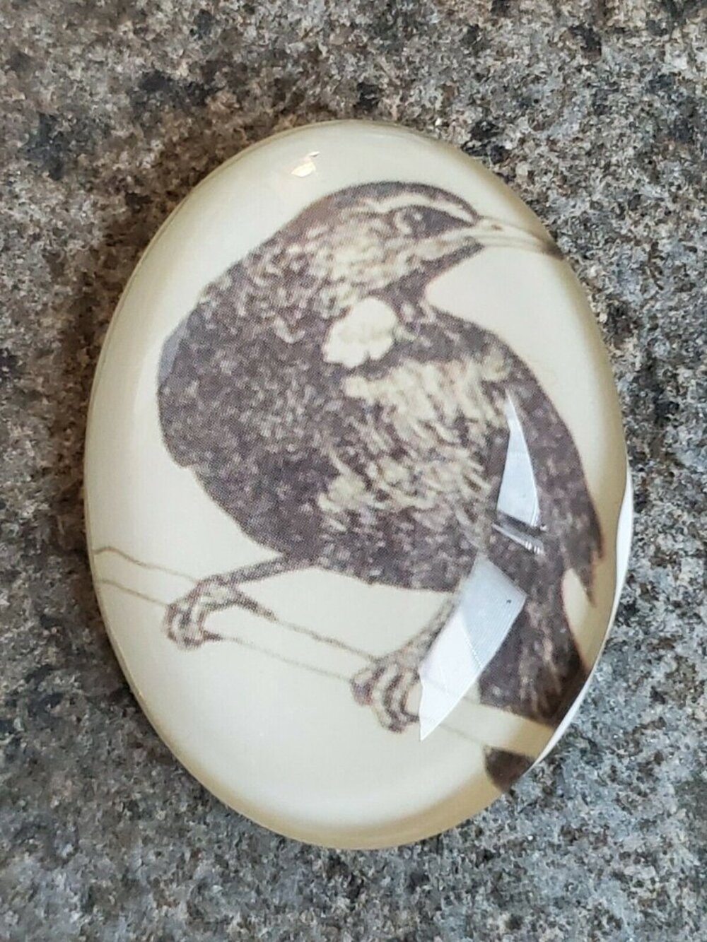 Edgar Allan Poe The Raven Victorian Gothic Bird Glass Oval Cabochon 40x30mm - Picture 9 of 10